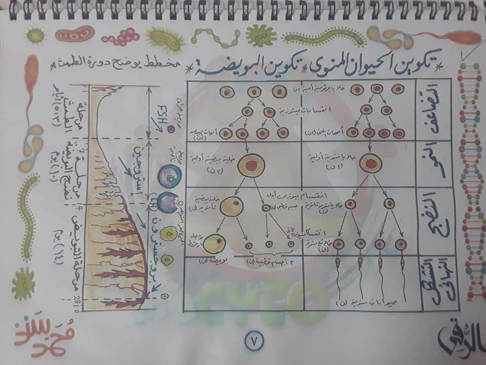 تجميع لكل رسومات الأحياء - للثانوية العامة